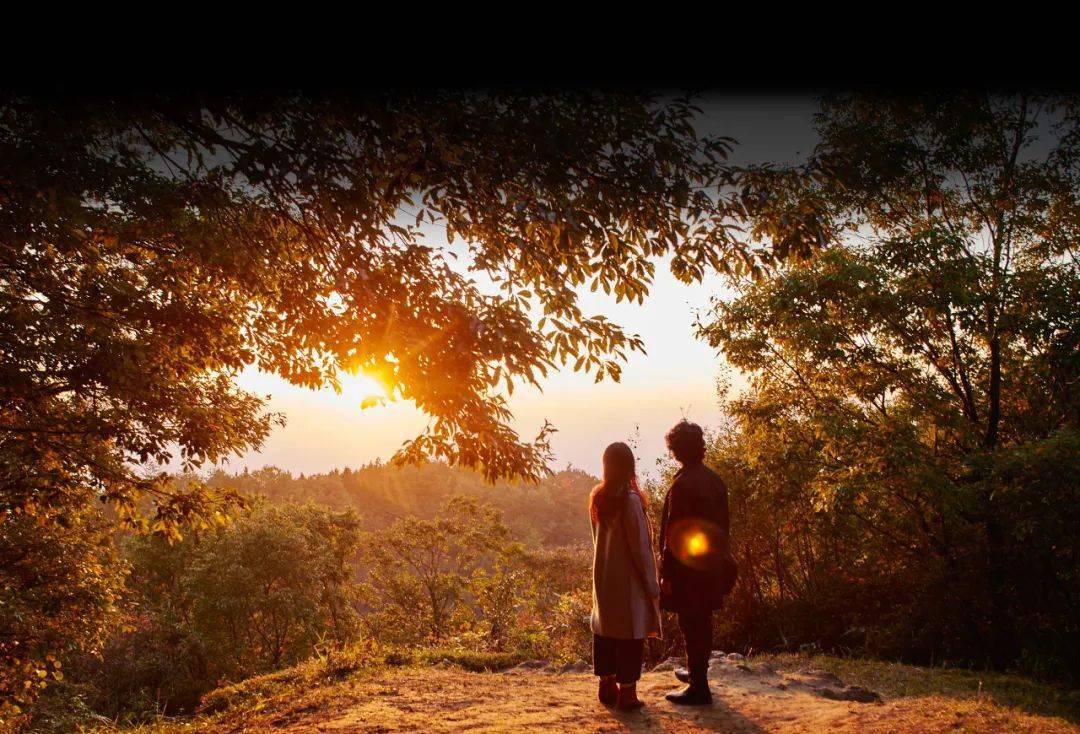 《澄沙之味》:德江的物哀,千太郎的丧