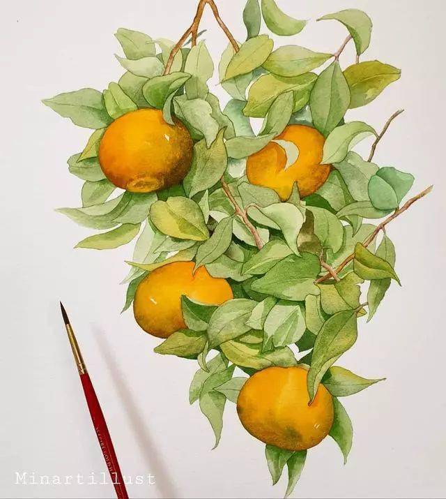 清新植物花卉水彩手绘色彩绚烂明媚这样的水彩心情真好