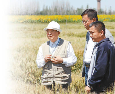 程顺和(左一)在新疆察看小麦长势.资料照片