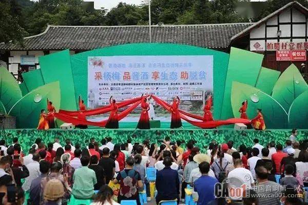 7月4日,2020第六届赤水河生态杨梅采摘季在四川泸州古蔺县茅溪镇正式