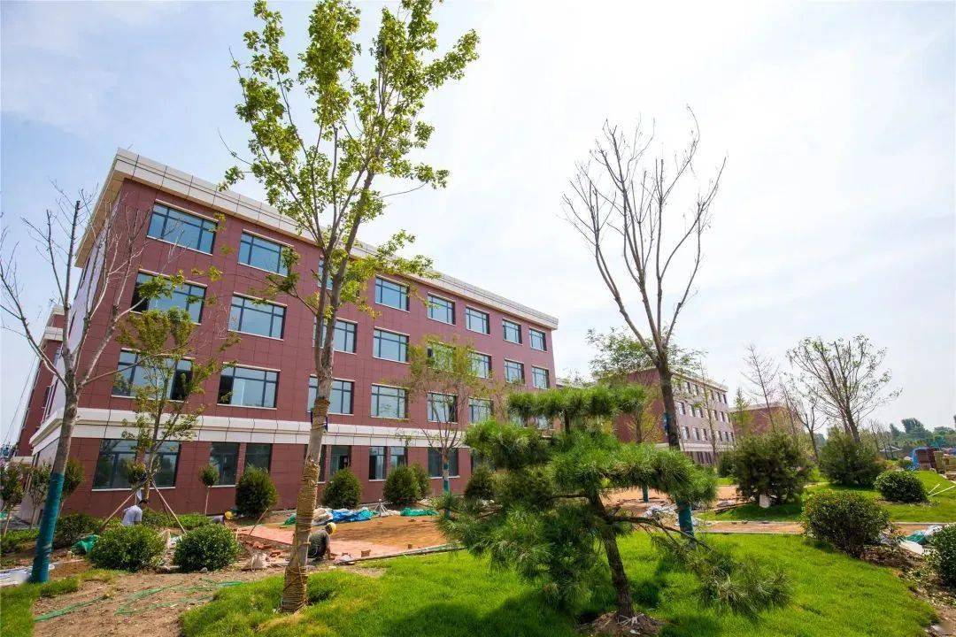 哇塞太赞了淄川这所花园式小学即将华丽绽放