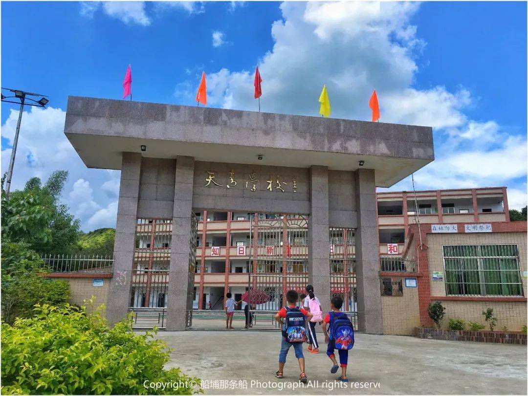 船埔镇天青村全景高清大图,快来找找你家的楼房._alexyu