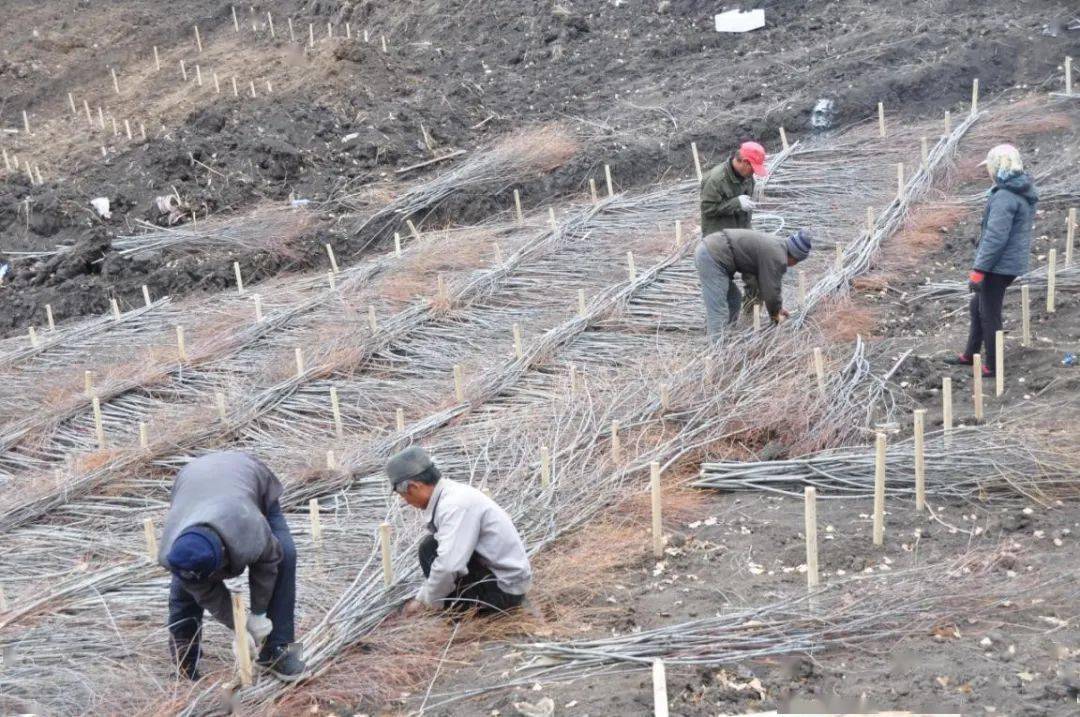 水土保持6项技术