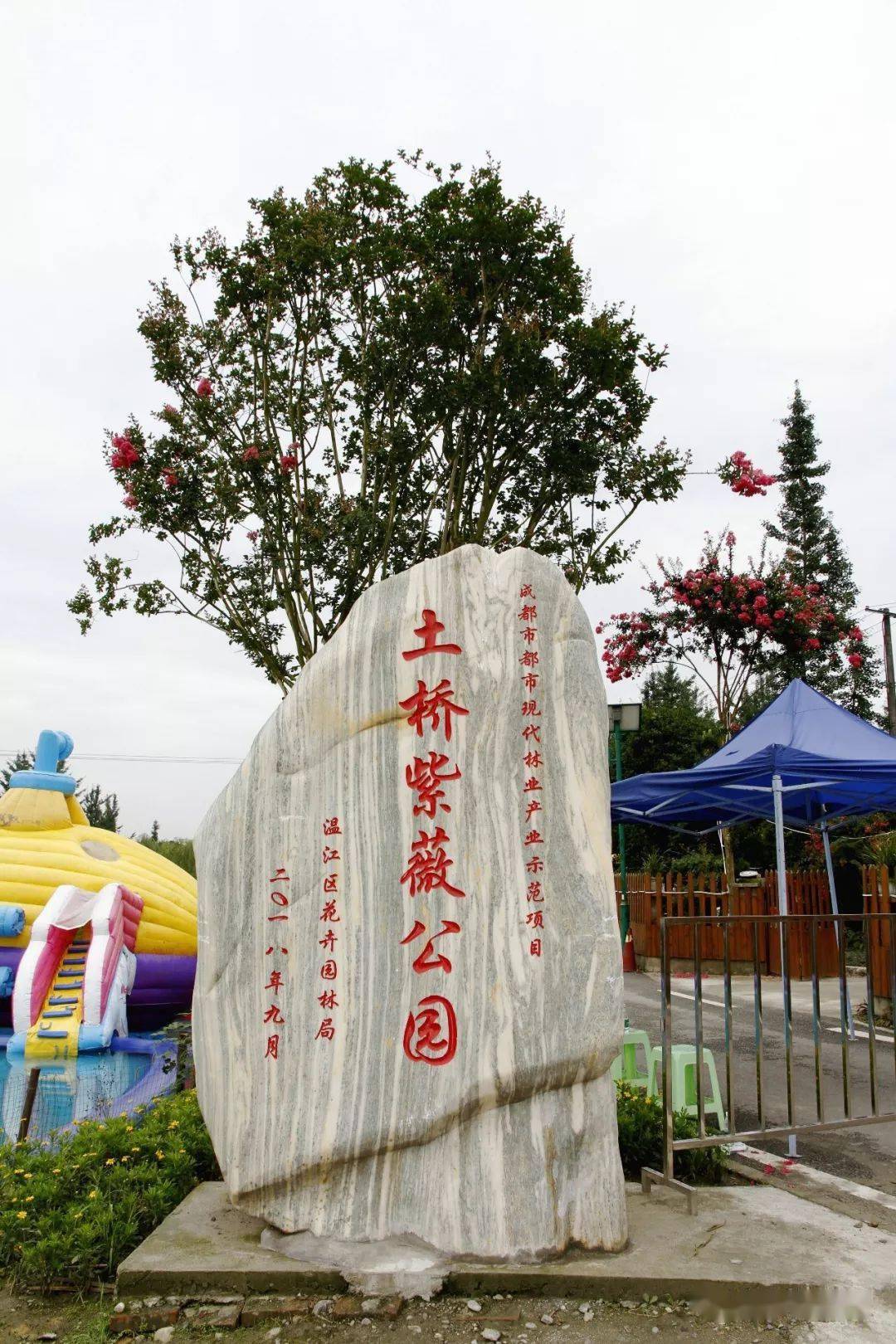 当然在我大成都也有很多专门]让你一览紫薇风采的地方 土桥紫薇公园