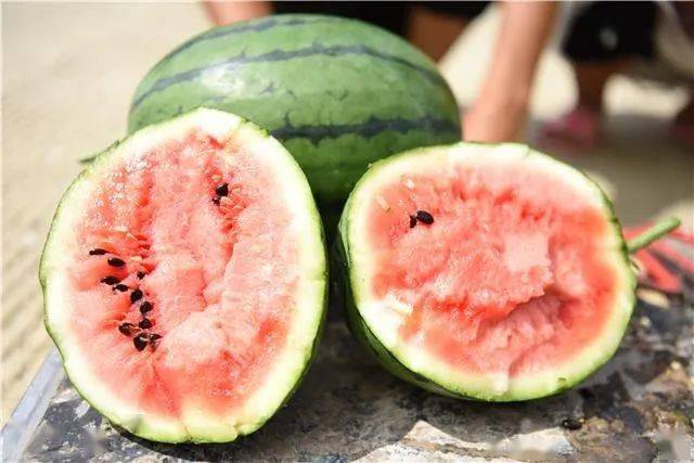 百里杜鹃管理区藤挂麒麟瓜瓜农乐开花