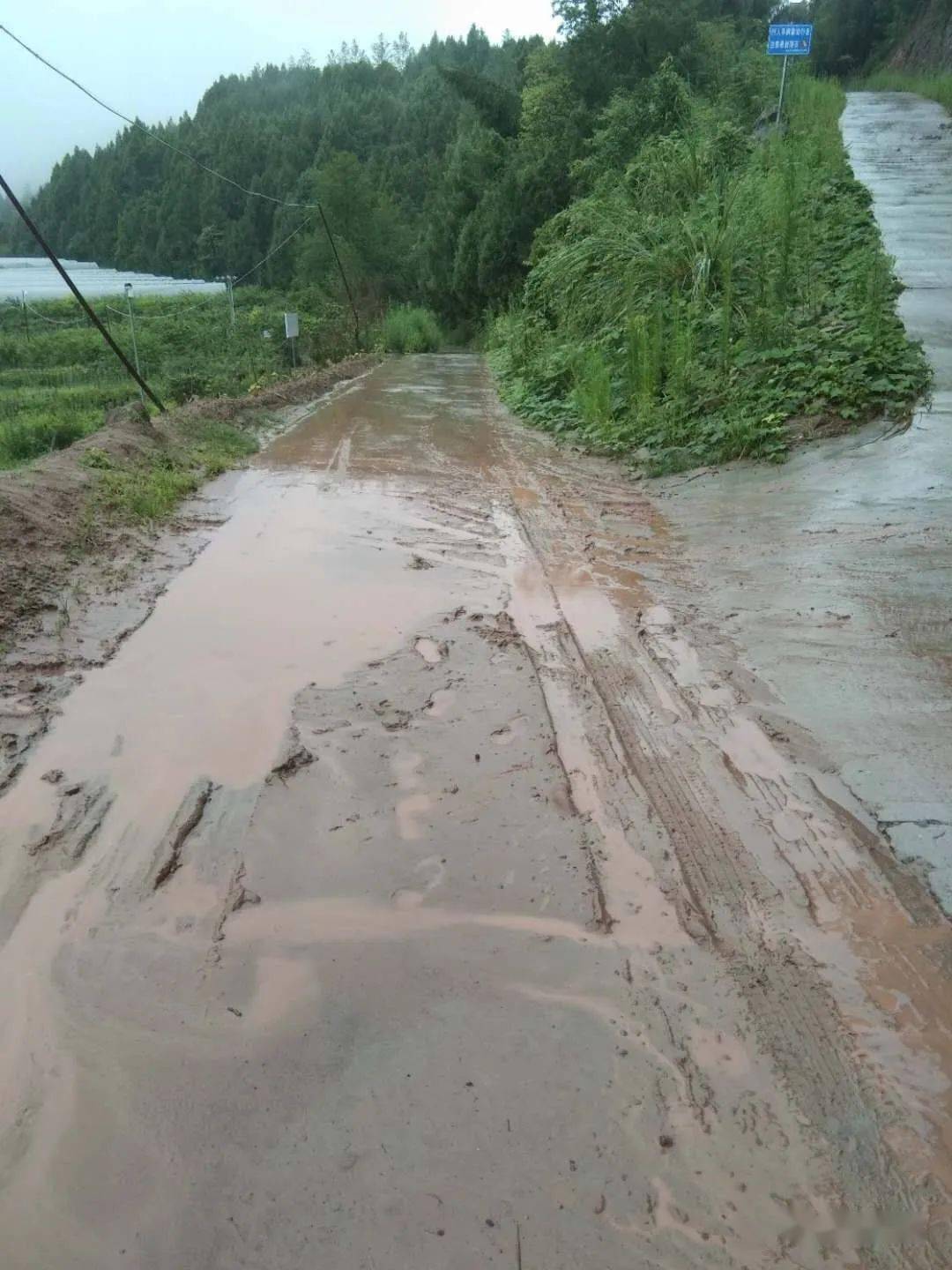 伏虎五岳宫这里的水泥路一到下雨就泥水遍地流