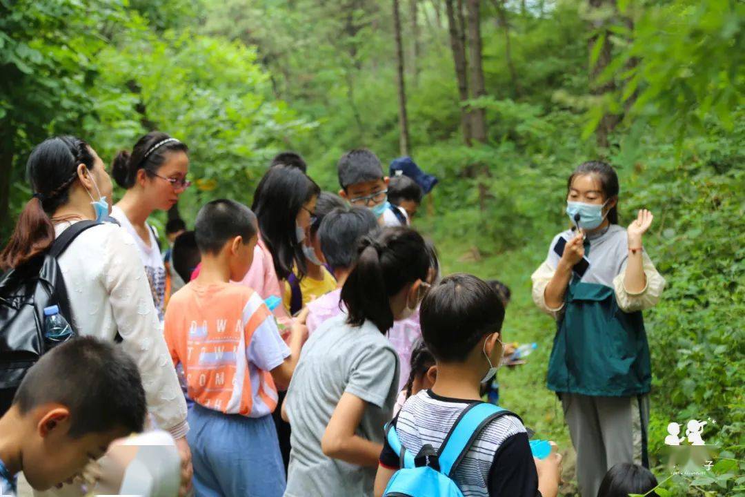 718蓟州1日自然探索科普活动从生态出发深入山林考察探索动植物的奥秘