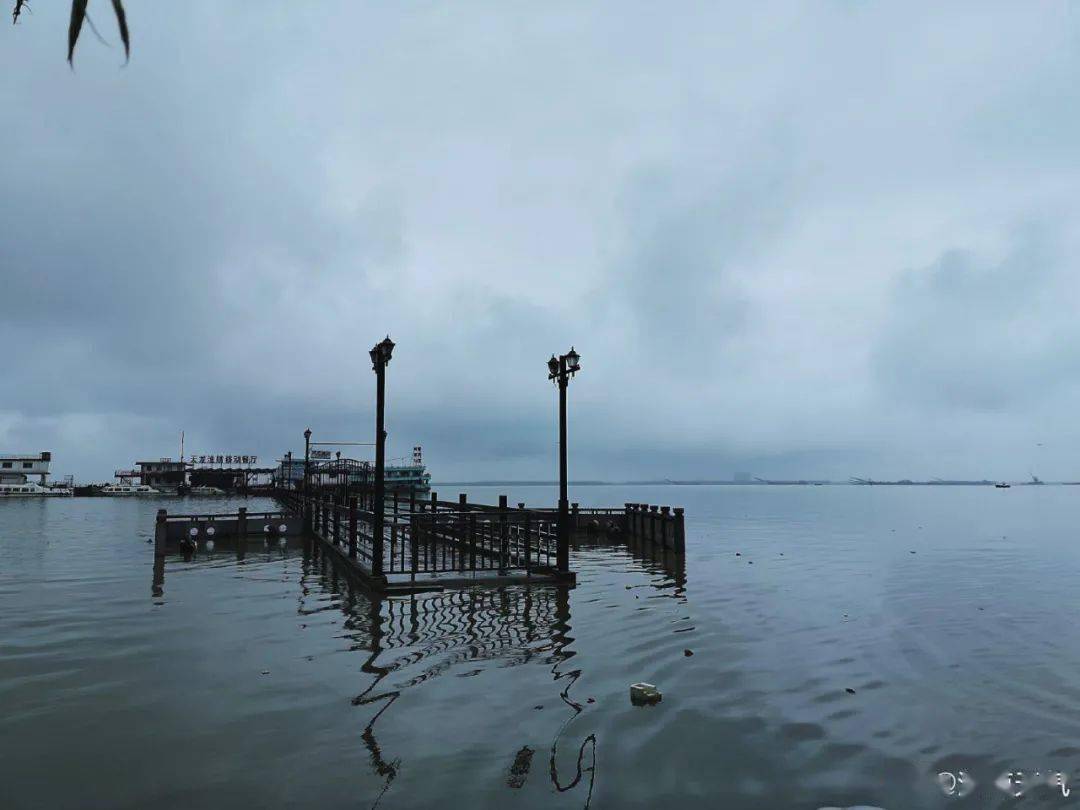 曾经烟波浩渺的洞庭湖,已经被暴雨淹得 没了岸边.