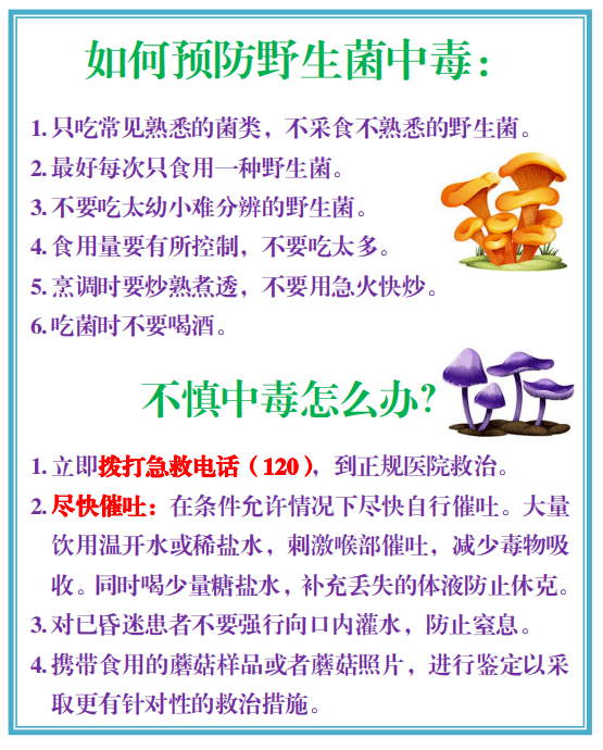 禁食野生菌宣传标语图片