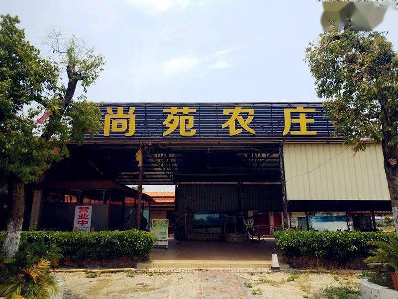 特色农家菜——带你品尝乡间美味