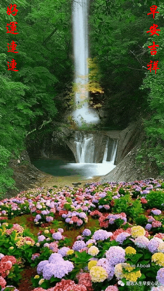 564_1002竖版 竖屏gif 动态图 动图