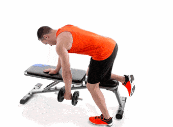 背部锻炼法来袭,这么练背部,轻松练出霸道的背部肌肉群
