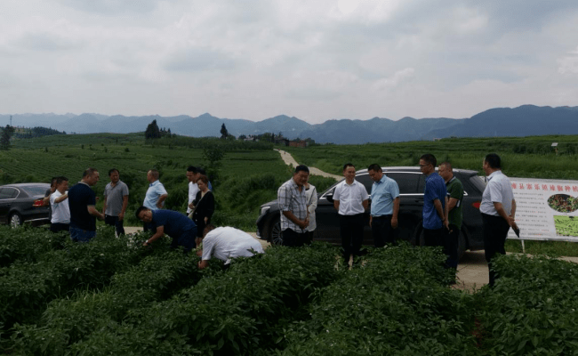 参会各位企业家围绕纳雍县辣椒产业,食用菌产业,生态鸡产业,大理石