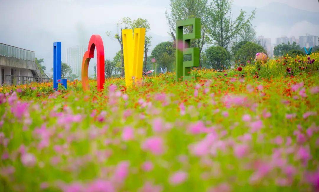 花海盛开又诞生一新景观