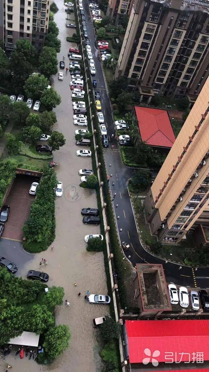 下雨不愁!苏州这些"看海"地段不一样了