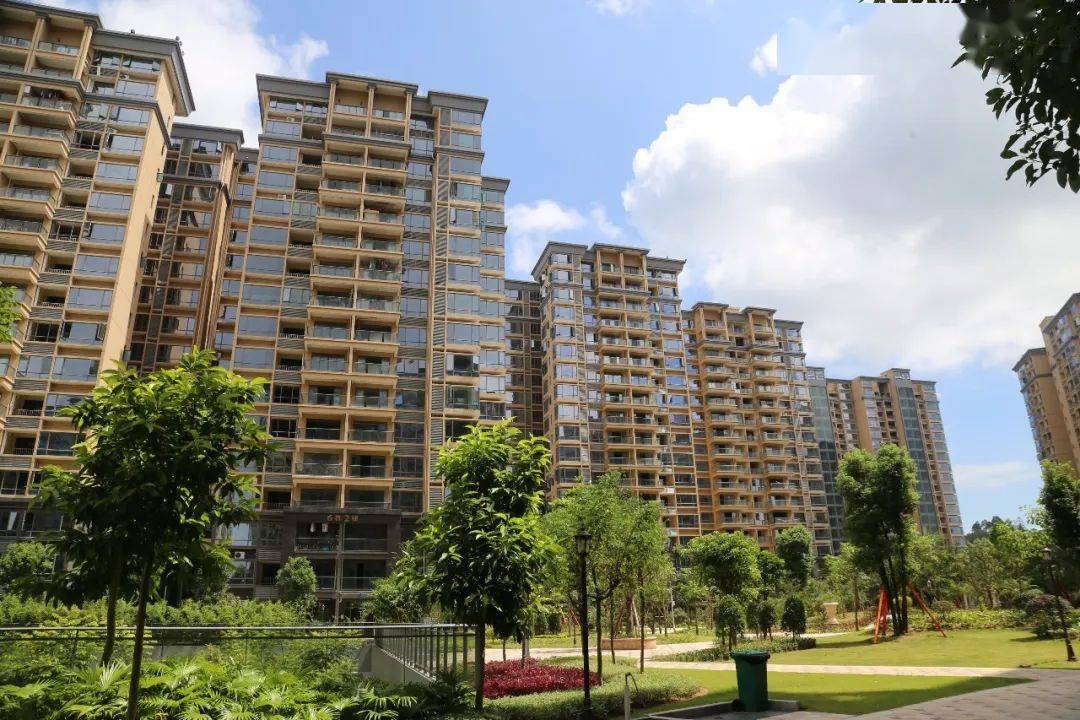 怎么回事最近很多摄影师摄影家都围着佛冈篁胜新城拍拍拍