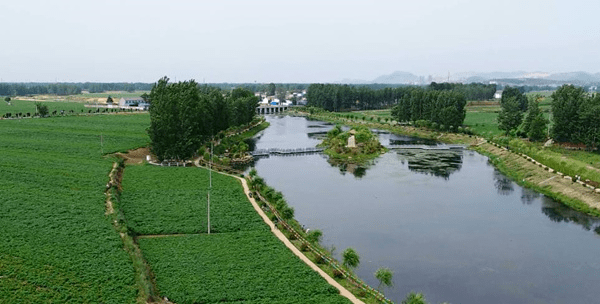 镇域风采看庄镇党群合力推进人居环境整治