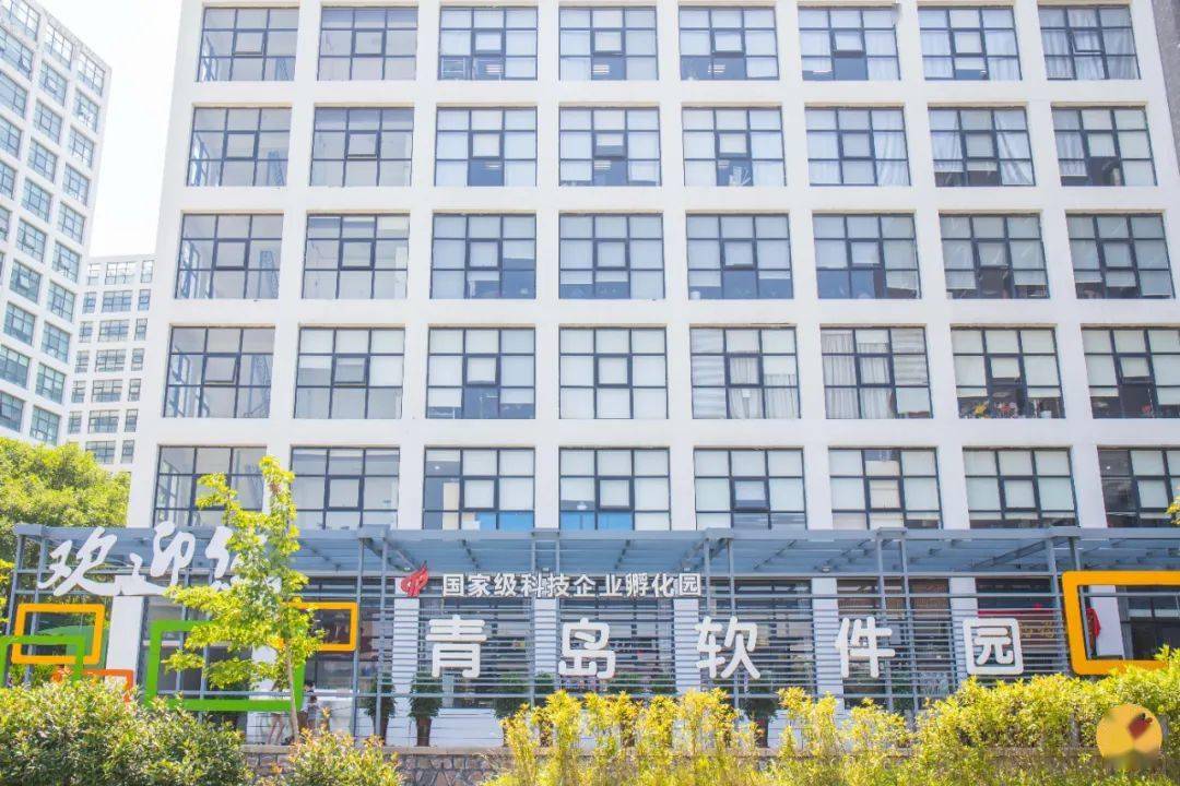 秘探青岛软件园食堂,都是硬货