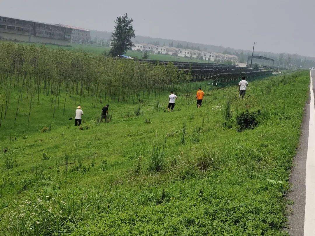67年还有多少阜阳人记得
