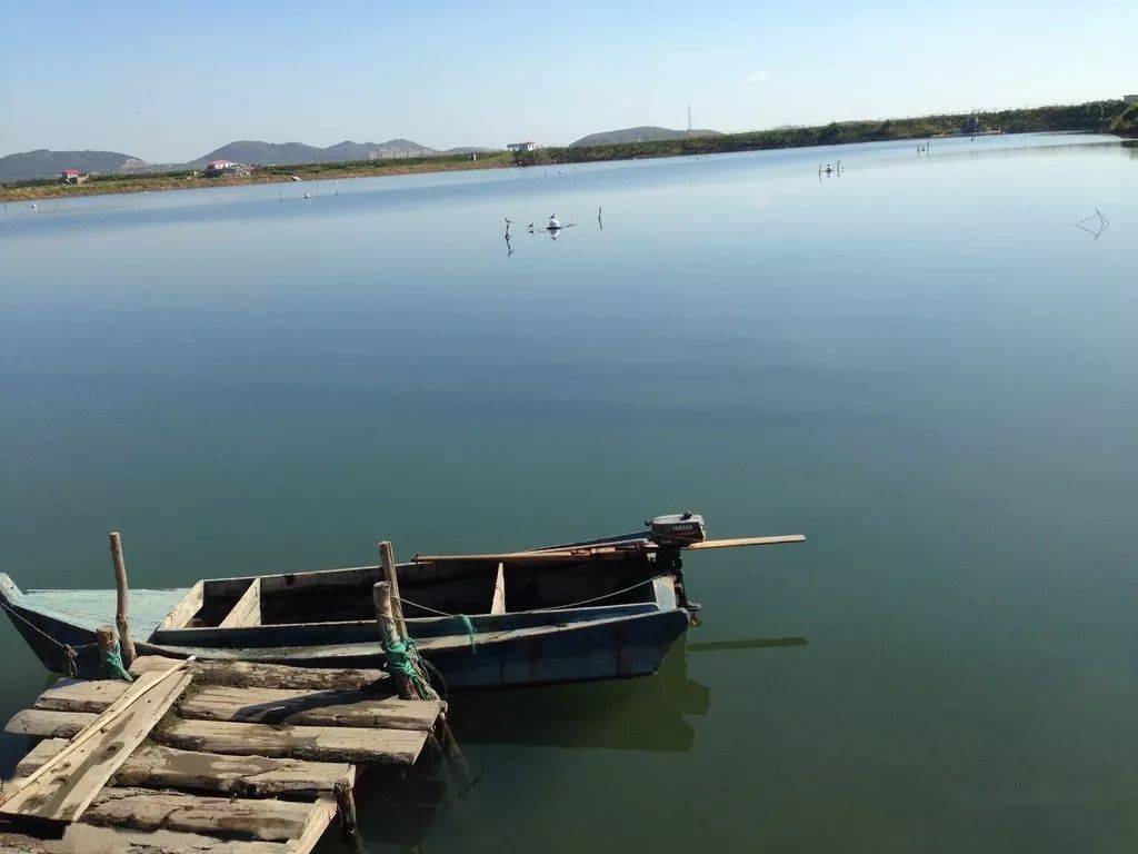 康洁0375识别鱼塘水质好坏的方法