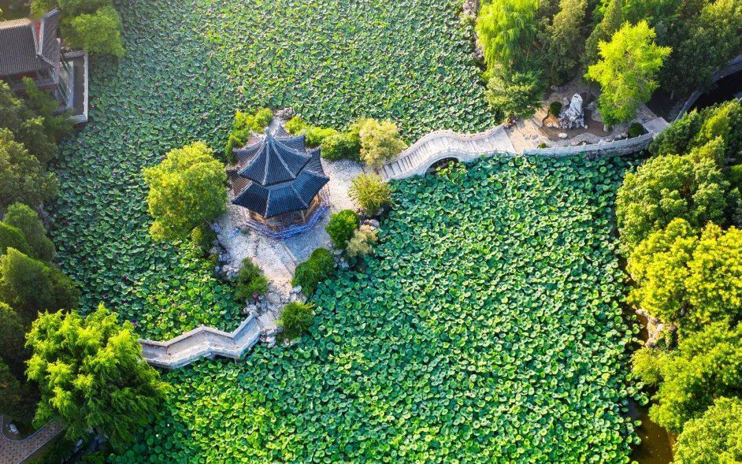 保定市所有a级景区向京津冀医护人员免费开放_古莲花池