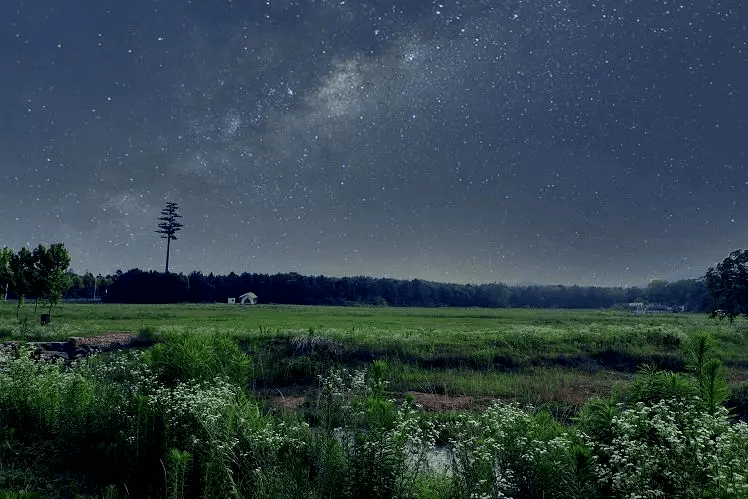 魔法森林···美轮美奂由顶级灯光师精心打造的灯海世界仲夏夜游季