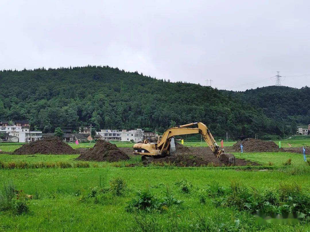 薛昌柱一行在大洪村实地督导花溪区现代高效精品果蔬项目基地动工情况