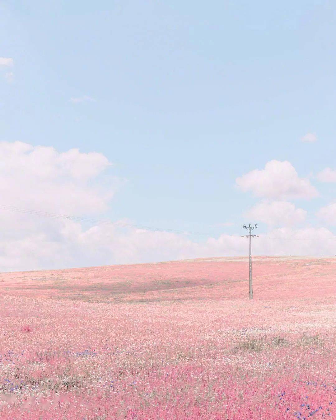 teresafreitas镜头下温柔的粉蓝色世界