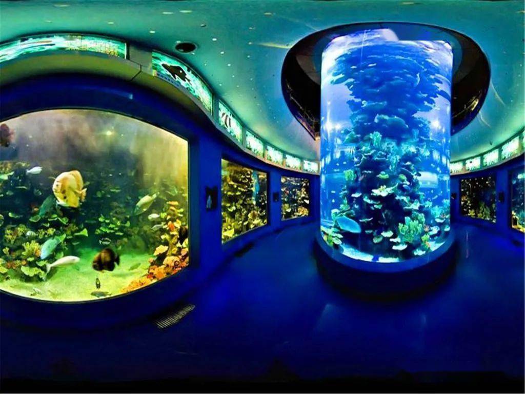 青岛海底世界附近酒店图片