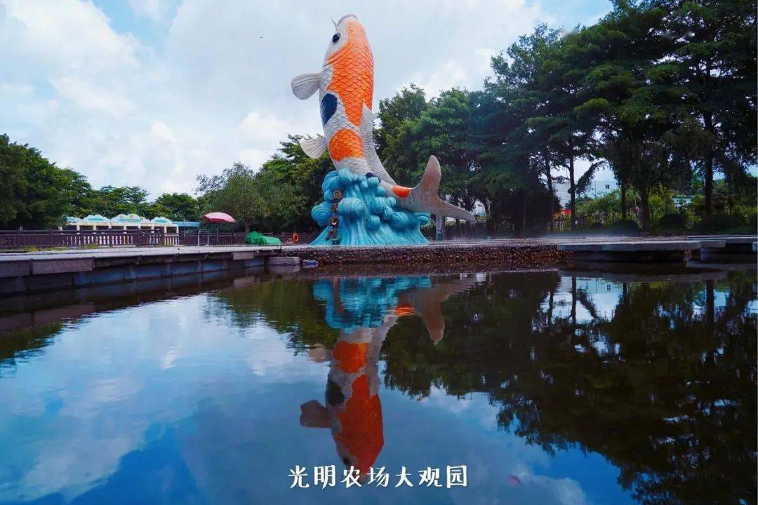 关注夏已至暑意长光明农场大观园静候您到访
