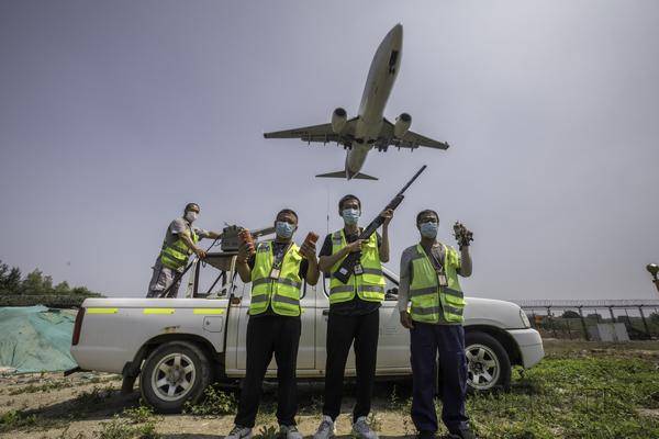 高温下的机场驱鸟员