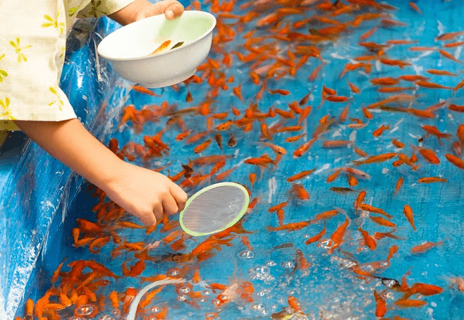 来一场趣味捞金鱼,释放你的童心炎炎夏日,在凉凉的水边成为日本夏日祭