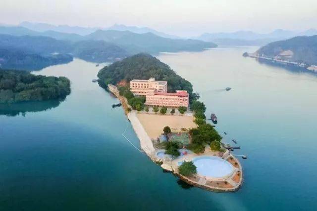 地址:清远市清城区飞来峡镇石梨丰恒无花果农庄意料之外的惊喜!