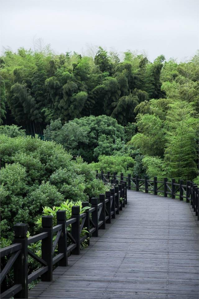 苏州树山风景图片
