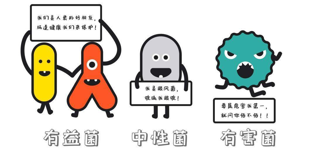 幕后黑手竟是它?_肠道