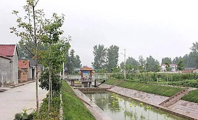 这里是莒南我的小康村系列之五筵宾镇薛家水磨村真抓实干促发展幸福