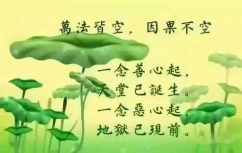 一切皆有因果文字图片图片