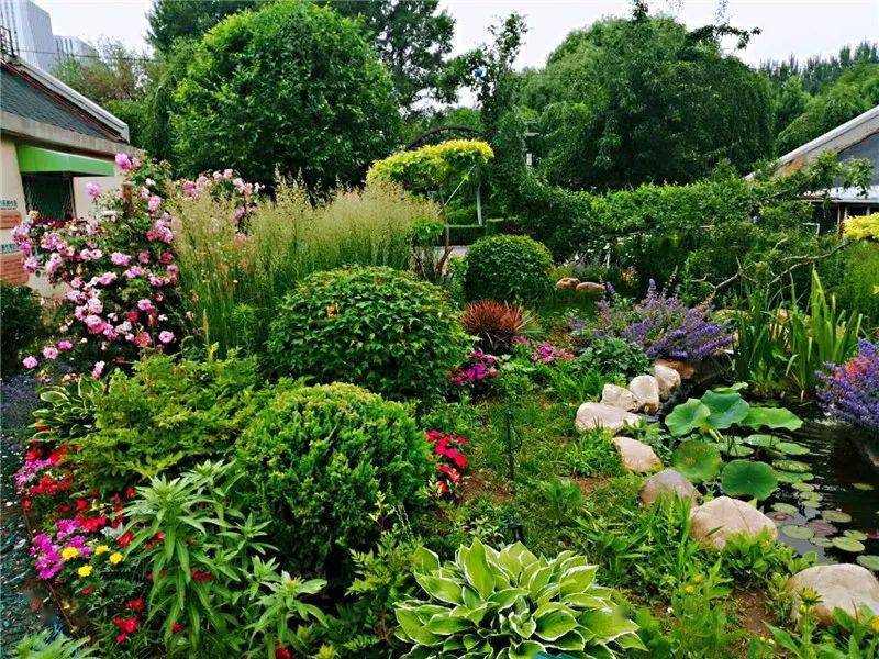 你得数半天 微景花园" 花境"采用不同颜色和质感的花卉相间种植,配以