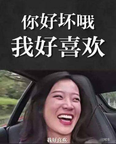 网友:是初代4.8t保时捷帕拉梅拉