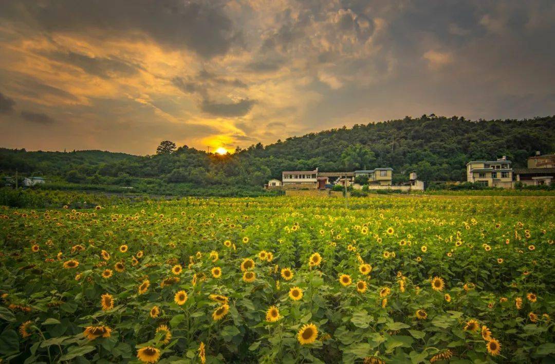 高考成绩出来了,请不要打扰别人的幸福