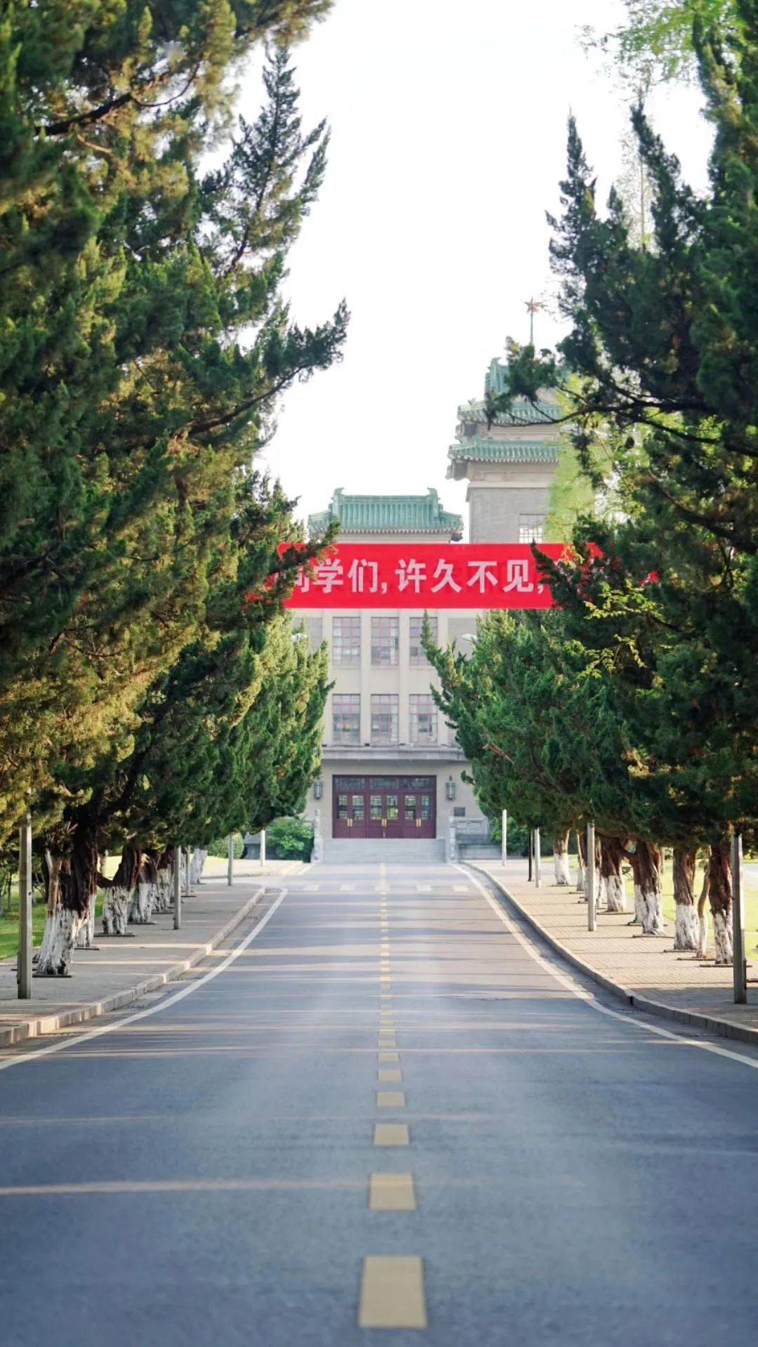 我在南农等你!点击观看2020年南京农业大学招生宣传片