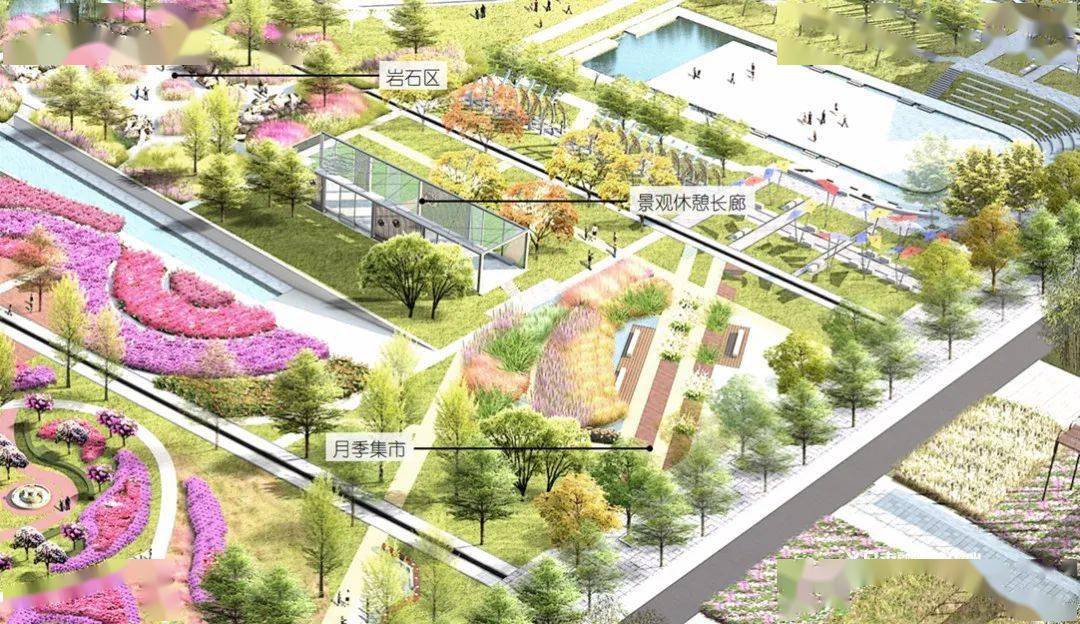义乌市中心将建一座45万平方米的花海公园!