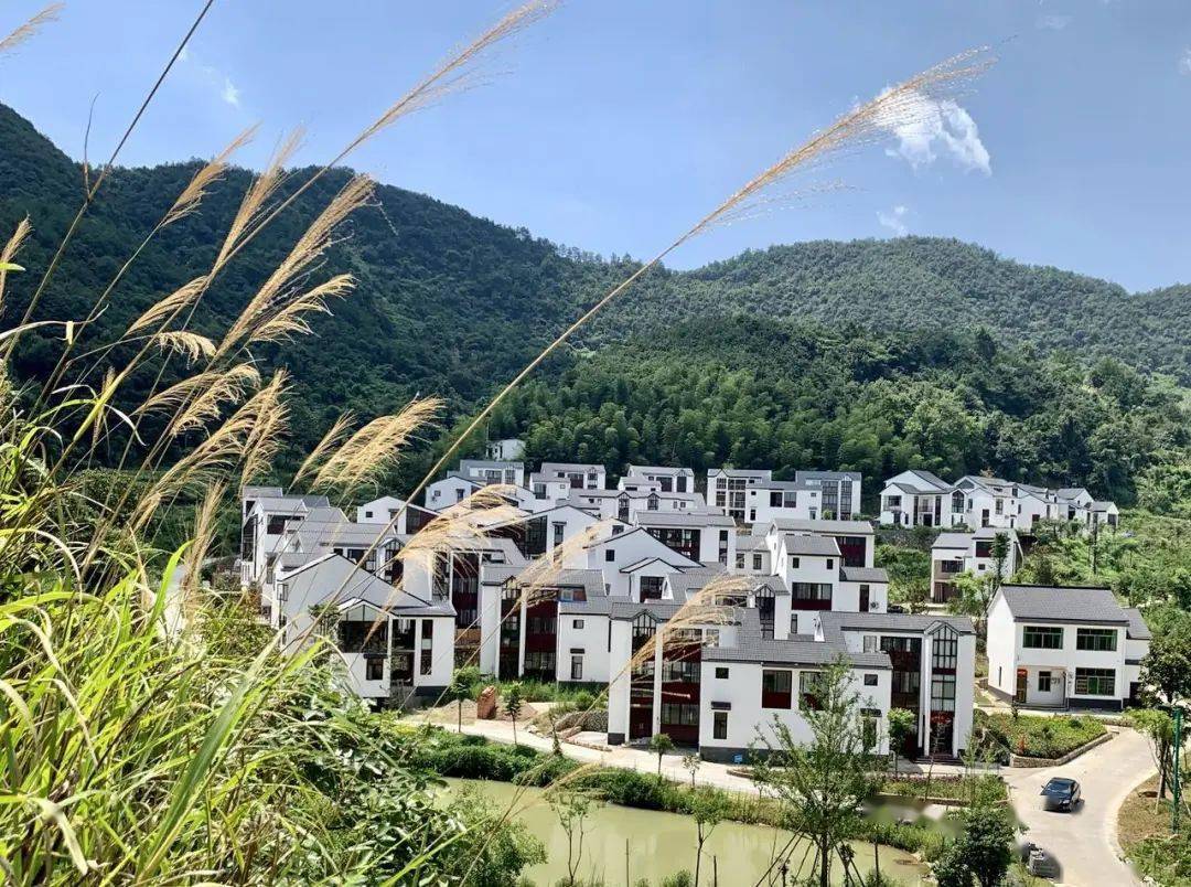 浦江这个几近消亡的偏远山村摇身一变成避暑胜地