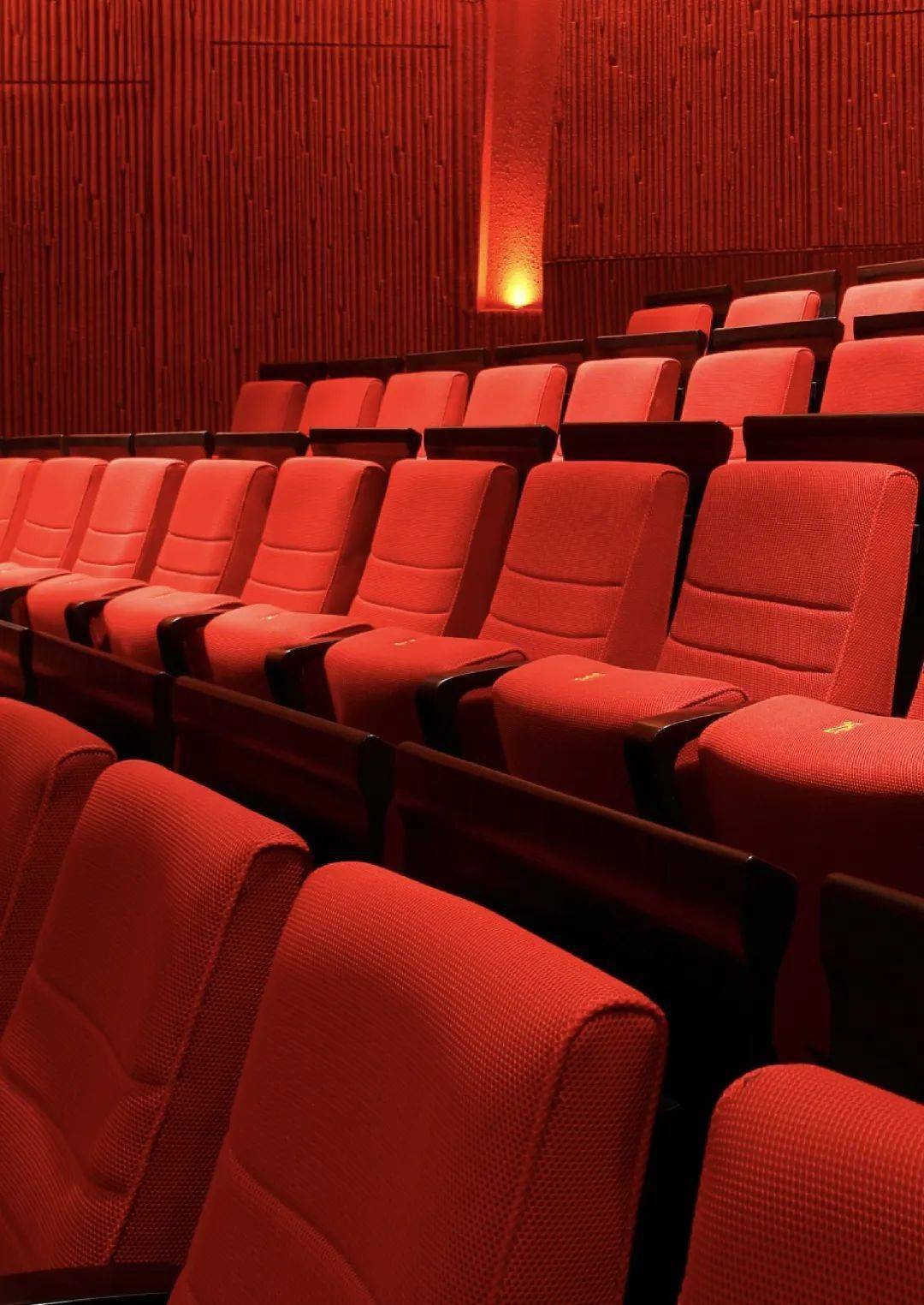 【艺术传递爱 即将开启】保利·武汉琴台大剧院·武汉琴台音乐厅公益