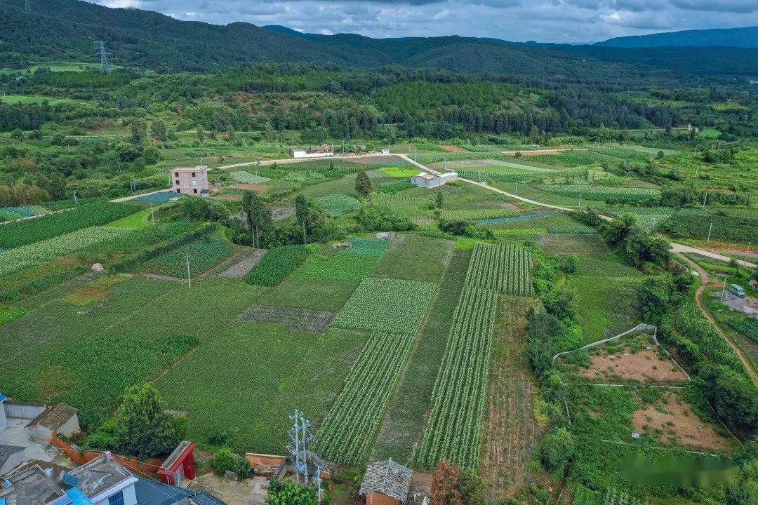 盘龙乡村新貌 楹联第一村,比宫崎骏动画还治愈的地方~_新庵村