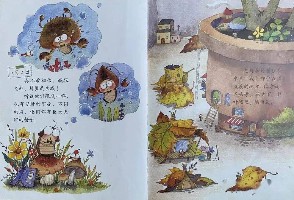 给小朋友的睡前故事丨西瓜虫的日记