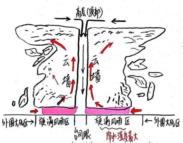 台风雨台风雨是热带海洋上的风暴带来的降雨.
