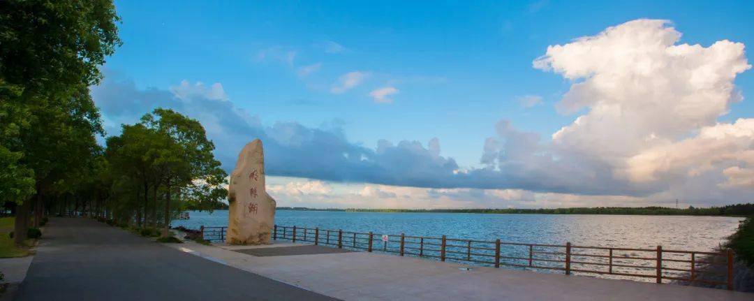 夏日,来崇明明珠湖公园"乘风破浪"!
