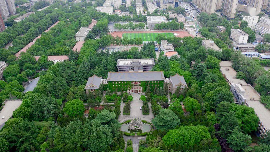景观树价格3万到4万元