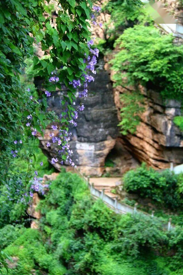 大裂谷的精华所在,深约400米的绝壁,一块巨石正好卡在了两侧峭壁中央